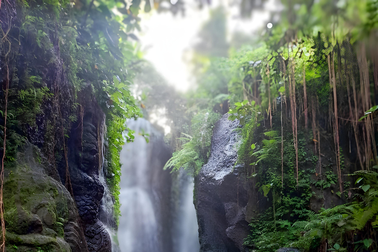 Ritual Melukat en la cascada de Taman Beji Griya