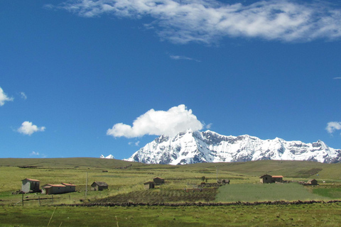 Cusco: Ausangate Tour, seven lakes with lunch