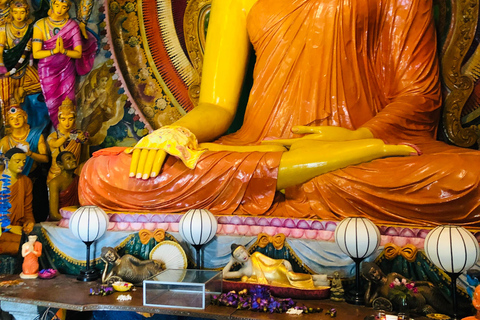 Colombo privet Day Tour and shopping Starting from Colombo