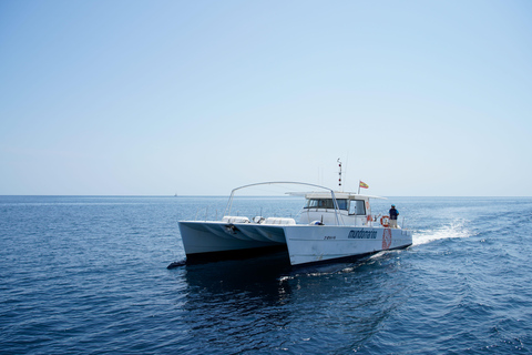 Calpe: Motor catamaran with optional lunch and swimming stop Motor Catamaran excursion with swimming stop