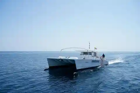 Altea : Excursion en catamaran à moteur avec pause baignade