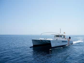 Calpe: Motor catamaran with optional lunch and swimming stop