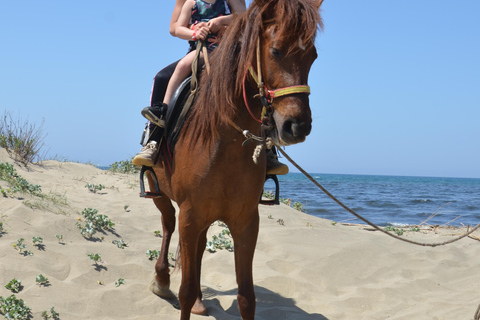 Pamucak: Horseback Riding Tour with Beach Swim