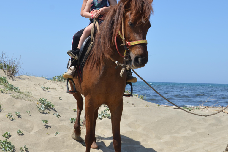 Pamucak: Horseback Riding Tour with Beach Swim