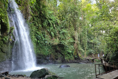 Ubud: gita di 1 giorno con guida tra cascate e terrazze di risoUbud: gita di 1 giorno alle cascate e alle risaie