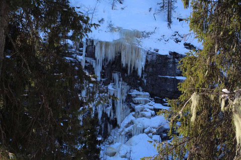 Rovaniemi: Wycieczka do kanionu Korouoma i zamarzniętych wodospadów