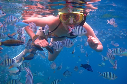 Gili Trawangan: Islands Hopping Snorkeling Trip Private Islands Hopping Snorkeling Trip