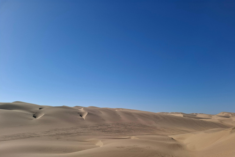 Swakopmund: Namib Desert Sunrise, Seals & Sandwich Harbour