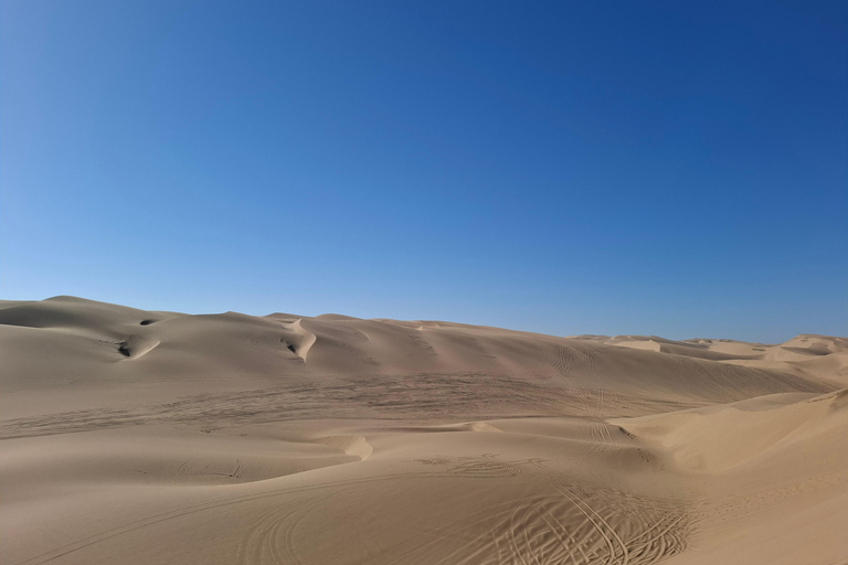 Swakopmund: Namib Desert Sunrise, Seals & Sandwich Harbour