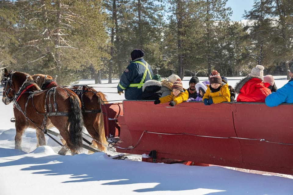 Gerber Fish Beyond: Sleigh Riding 