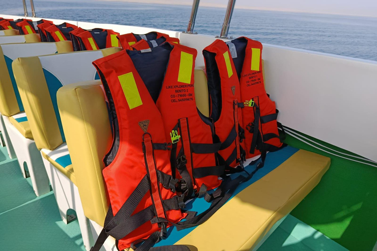 Full-Day Paracas Excursion from Huacachina: Adventure at Sea and in the Desert Full-Day Paracas Excursion from Chincha: Adventure at Sea and in the Desert