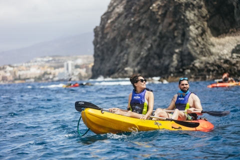 Ténérife : safari en kayak avec tortues de mer et snorkelingTénérife : safari privé en kayak avec dauphins et tortues
