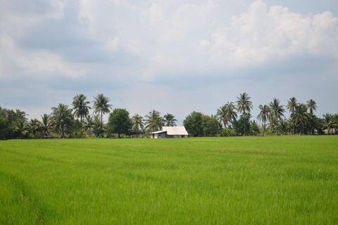 From Bangkok: Half Day Farm Tour w/ Thai Activities & Dinner Half Day Farm Stay Experience Without Transfer