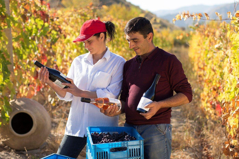 Vayots Dzor Areni Wine Route (Private Tour)
