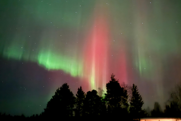 Rovaniemi: Guarantee Aurora Tour To Fill Your Deepest Dreams Private