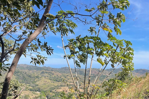 Canopy Zipline from Playa Venao