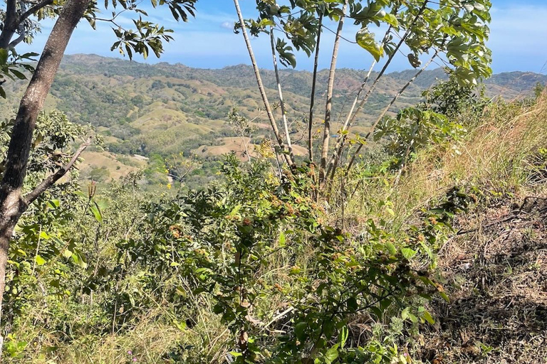 Canopy Zipline from Playa Venao