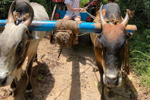 Depuis Kandy : Excursion d&#039;une journée à Sigiriya, Dambulla et Minneriya