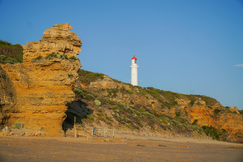 Melbourne: Great Ocean Road Discovery Day Tour
