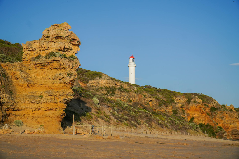 Melbourne: Great Ocean Road Discovery Day Tour