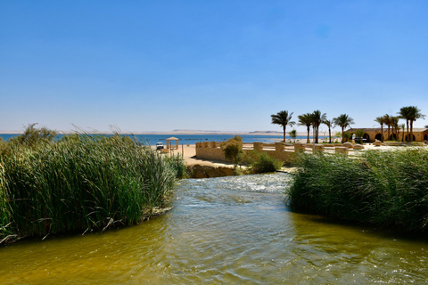 From Cairo: 4x4 Desert Safari, Waterfalls & Magic Lake Shared Tour: Wadi El Rayan, Magic Lake & Lake Qarun, Jeep