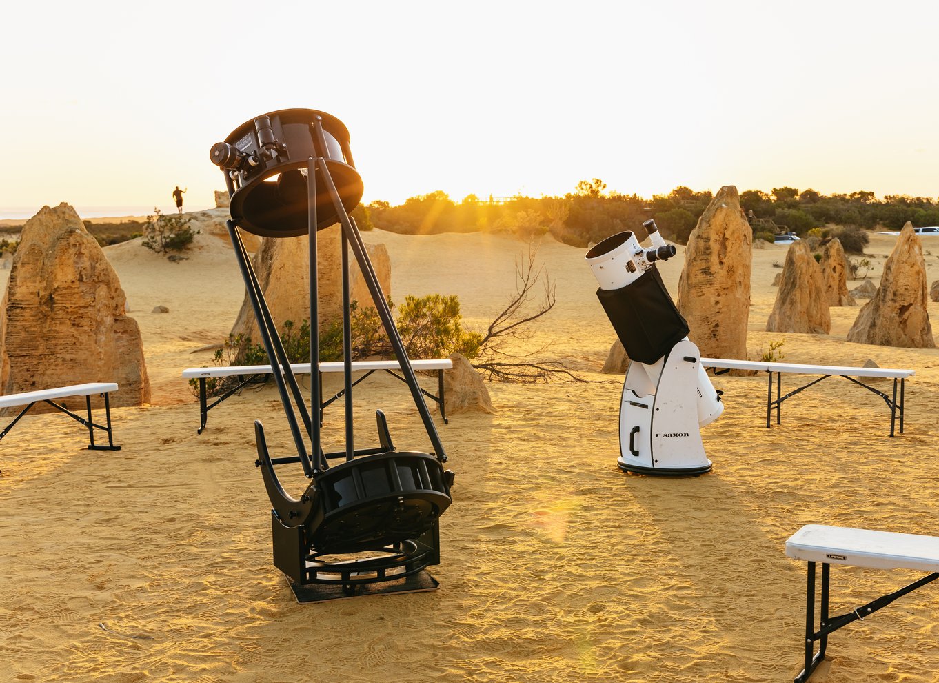 Fra Perth: The Pinnacles Desert Sunset and Star-Gazing Tour