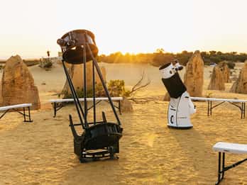 From Perth: The Pinnacles Desert Sunset and Star-Gazing Tour