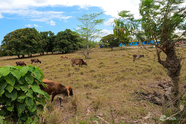 Punta Cana: Higüey Safari Tour with Horseback Riding