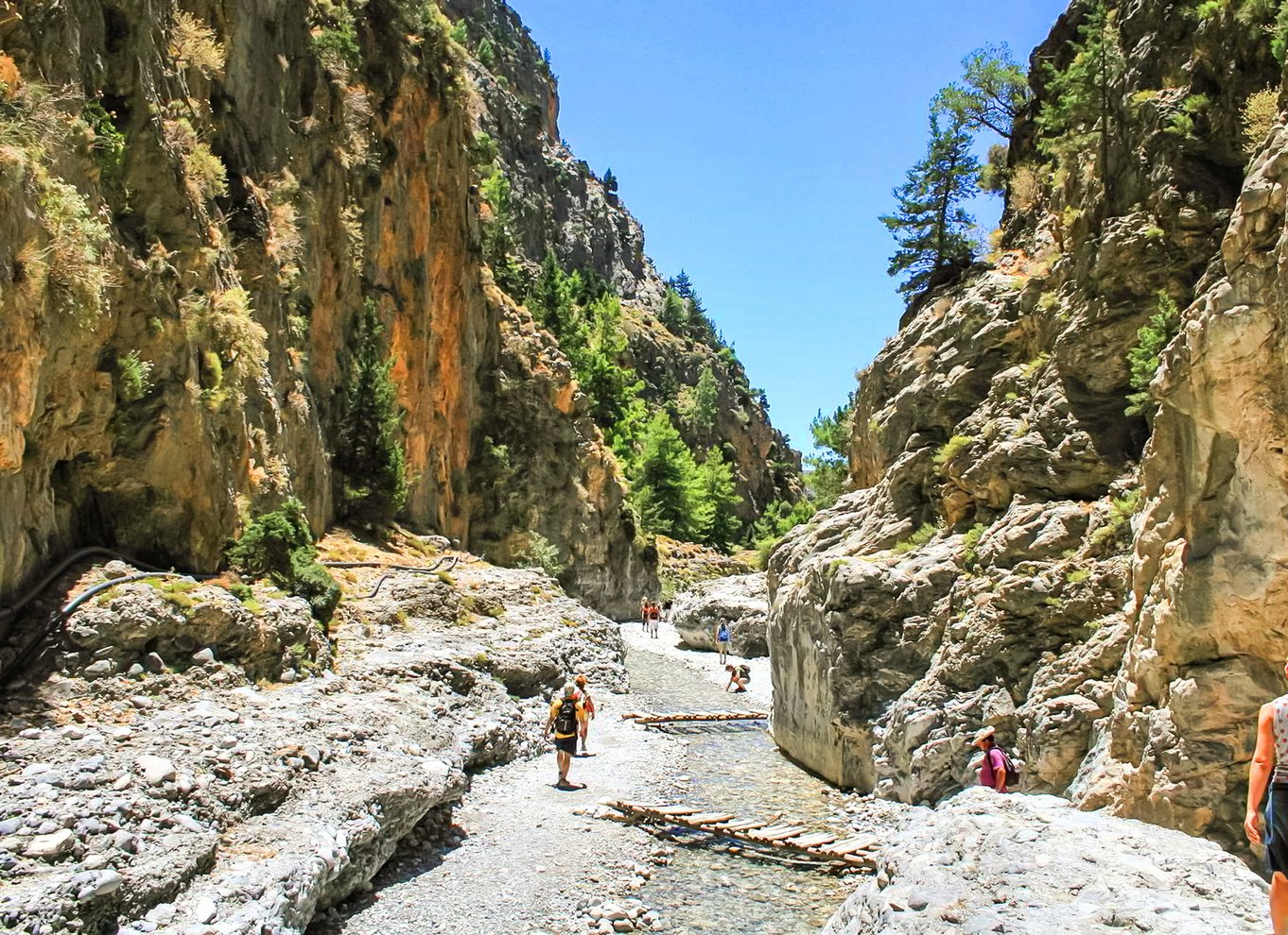 Fra Chania: Heldagsudflugt i Samaria-kløften med guide