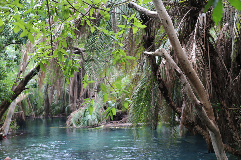 Moshi: Materuni Waterfall, Coffee Tour, Kikuletwa Hot Spring