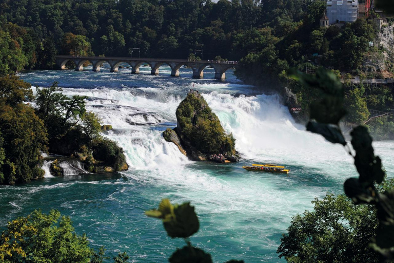 Rhine Falls and Stein am Rhein Half-Day Tour from Zurich