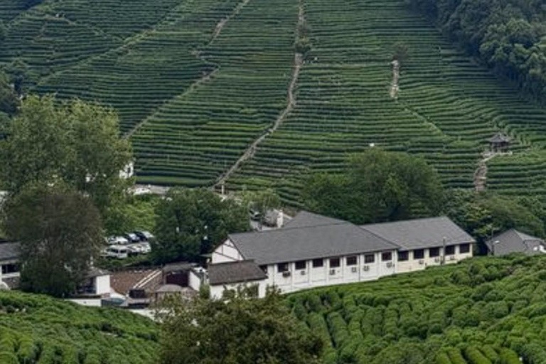 Suzhou: Hangzhou Nine Creeks & Longjing Tea Village Trip