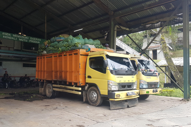 The Breathtaking Views Of The Countryside In Bandung