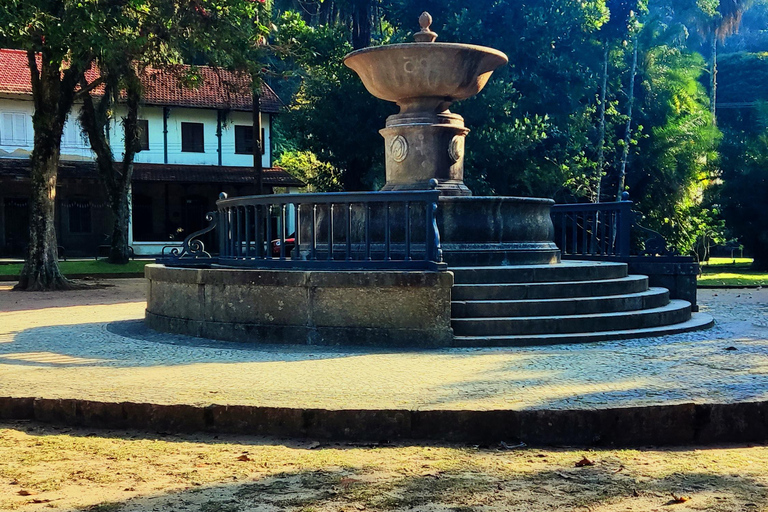 Rio de Janeiro: Tijuca Caves Guided Hike with Park Entry