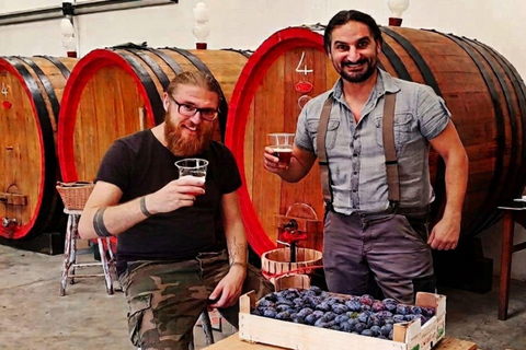 Craft Brewery Tour with Beer Tasting & Gift near Alessandria Craft Brewery Tour with Beer Tasting in English