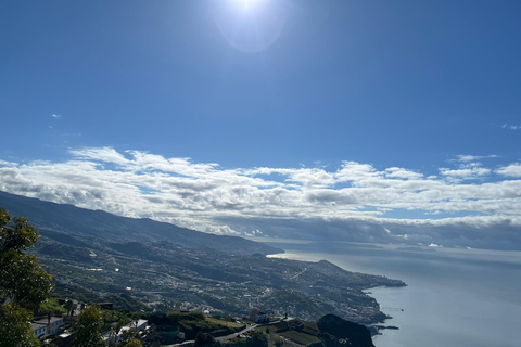 Madeira: Exotic Birds & Valleys 4x4 Safari with Local Guide Shared Exotic Birds & Valleys 4x4 Expedition Local Guide