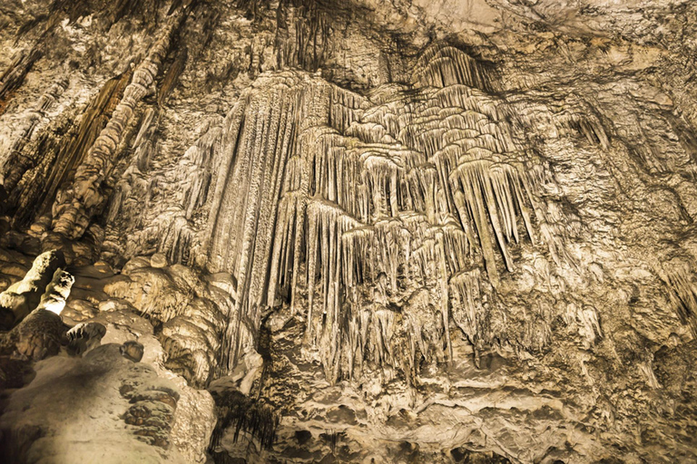 Arta Caves and Market Excursion