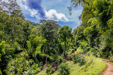 Scooter Adventure incl Elephants, Cave Chiangmai Backcountry scooter adventure incl. elephants