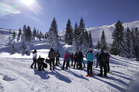 Snöskovandring på berget Jahorina