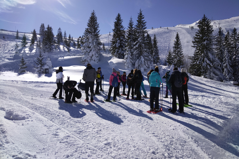 Schneeschuhwandern auf dem Berg Jahorina