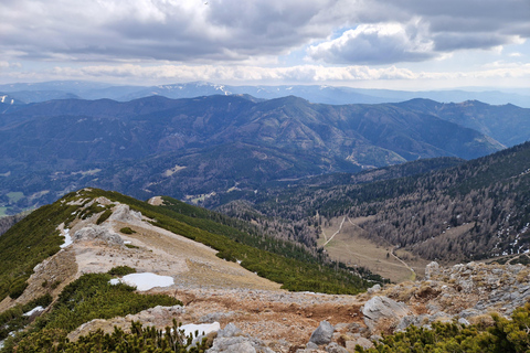 Vienna: Relaxed Alpine Experience with Guide and Transfer