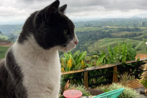 De Medellín: Tour particular de 2 dias em Jardín com actividades