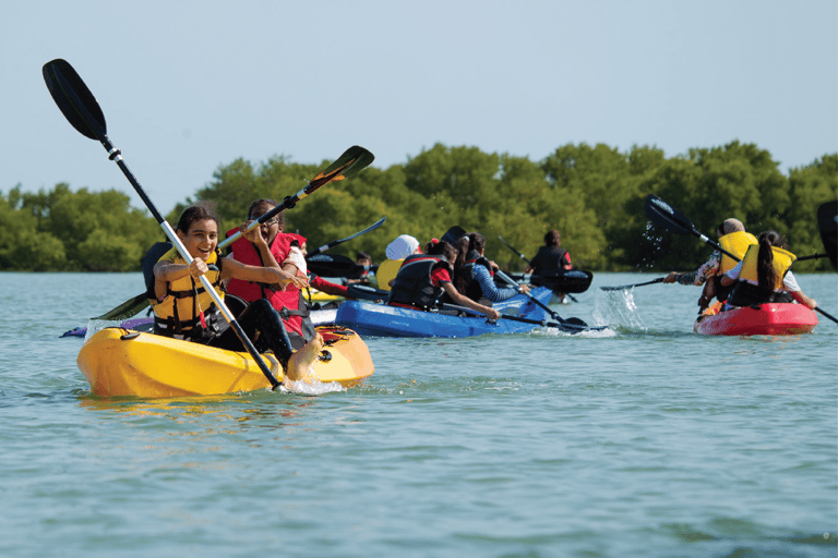 Doha : Aventure privée en kayak dans les mangroves de l&#039;île Purple