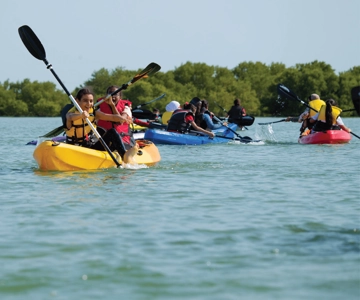 Doha: Private Purple Island Mangroves Kayaking Adventure