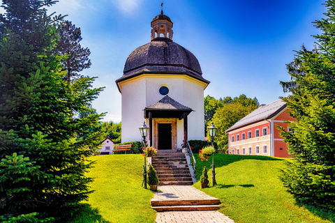 Desde Viena: Excursión privada de un día a Hallstatt y Salzburgo