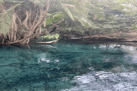 Tanzania: Kilimanjaro 10-Day Adventure with Hot Springs