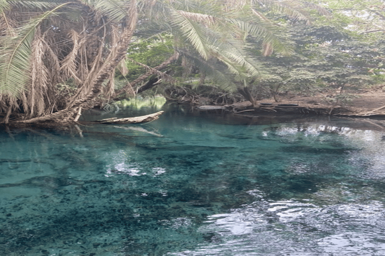 Tanzania: Kilimanjaro 10-Day Adventure with Hot Springs