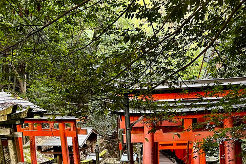 Excursão particular de luxo em Alphard por Quioto com Craig / Para madrugadoresExcursão particular de luxo em Alphard por Quioto com Craig / O madrugador