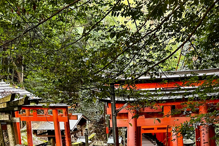 Excursão particular de luxo em Alphard por Quioto com Craig / Para madrugadoresExcursão particular de luxo em Alphard por Quioto com Craig / O madrugador