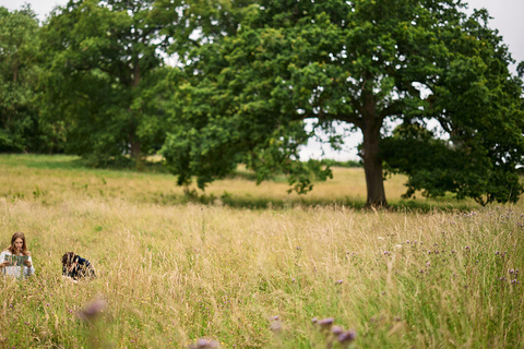 Oxford: toegangsbewijs Harcourt Arboretum